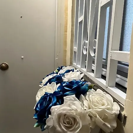 فندق Domus Myosotis نابولي